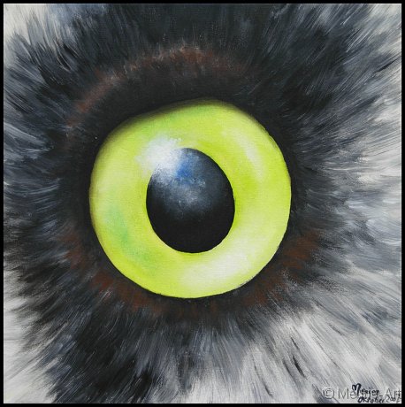 Augenblick eines Bartkauzes Acryl auf Leinwand;
30 x 30 cm